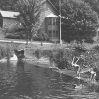 MILL POND LANDSCAPE