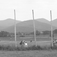 KEN MASON BALL FIELD LANDSCAPE