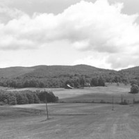 HERRICK ROAD LANDSCAPE