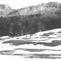 BUTTERNUT- BEND LANDSCAPE