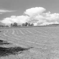 CHET CLARK FARM LANDSCAPE